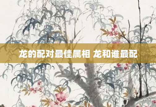 龙的配对最佳属相 龙和谁最配