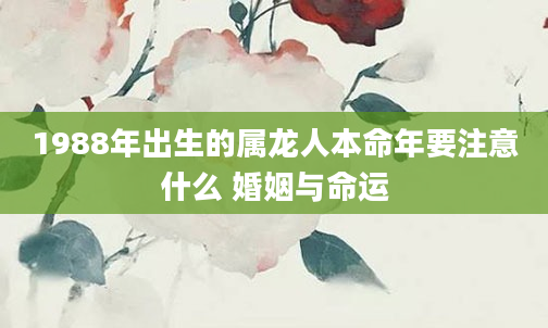 1988年出生的属龙人本命年要注意什么 婚姻与命运