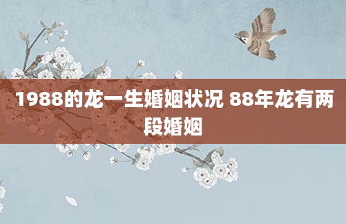 1988的龙一生婚姻状况 88年龙有两段婚姻