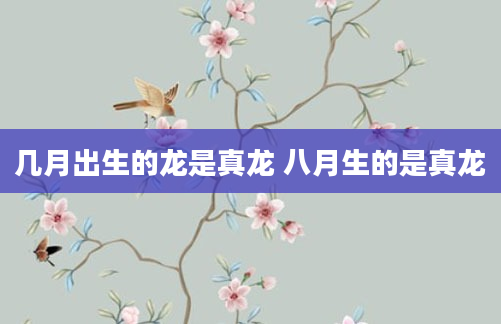 几月出生的龙是真龙 八月生的是真龙