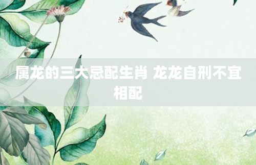 属龙的三大忌配生肖 龙龙自刑不宜相配