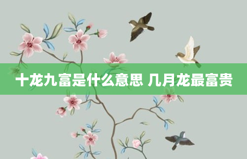 十龙九富是什么意思 几月龙最富贵