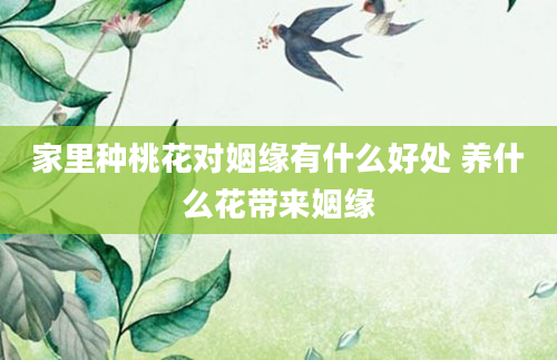 家里种桃花对姻缘有什么好处 养什么花带来姻缘