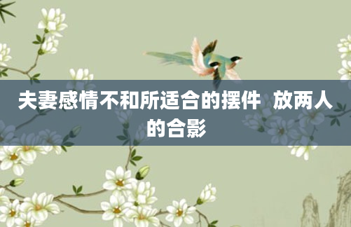 夫妻感情不和所适合的摆件  放两人的合影