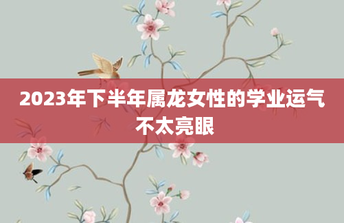 2023年下半年属龙女性的学业运气 不太亮眼