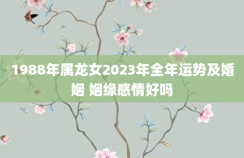1988年属龙女2023年全年运势及婚姻 姻缘感情好吗