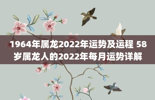 1964年属龙2022年运势及运程 58岁属龙人的2022年每月运势详解