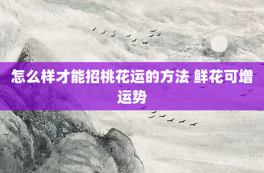 怎么样才能招桃花运的方法 鲜花可增运势