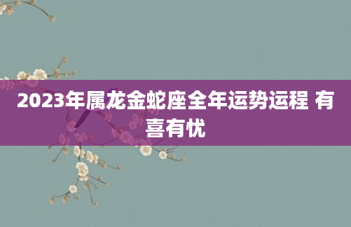 2023年属龙金蛇座全年运势运程 有喜有忧