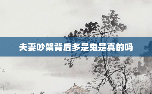 夫妻吵架背后多是鬼是真的吗