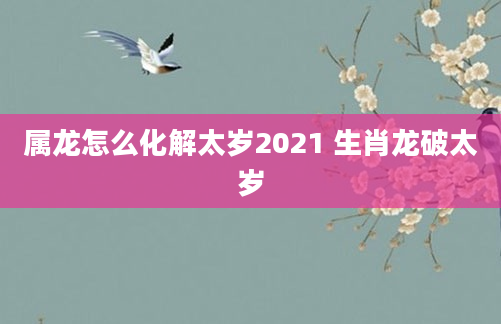 属龙怎么化解太岁2021 生肖龙破太岁