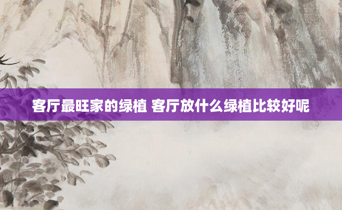 客厅最旺家的绿植 客厅放什么绿植比较好呢