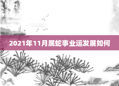 2021年11月属蛇事业运发展如何