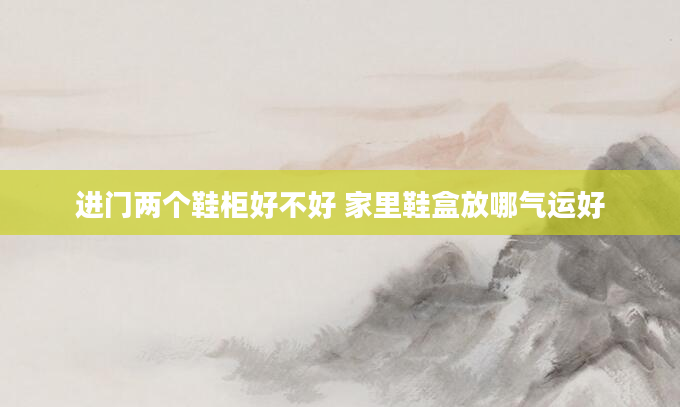 进门两个鞋柜好不好 家里鞋盒放哪气运好