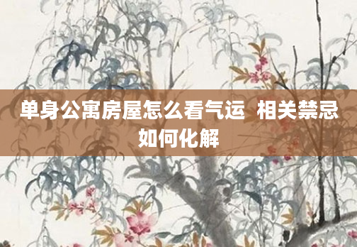 单身公寓房屋怎么看气运  相关禁忌如何化解