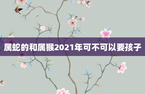 属蛇的和属猴2021年可不可以要孩子