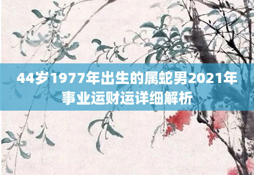 44岁1977年出生的属蛇男2021年事业运财运详细解析