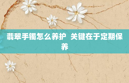 翡翠手镯怎么养护  关键在于定期保养