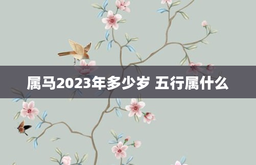 属马2023年多少岁 五行属什么