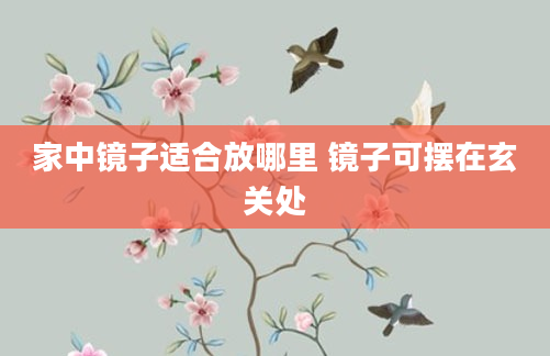 家中镜子适合放哪里 镜子可摆在玄关处