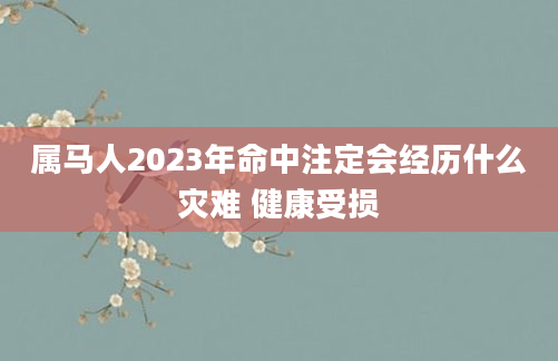 属马人2023年命中注定会经历什么灾难 健康受损