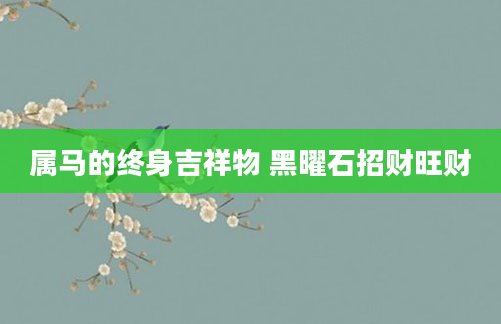 属马的终身吉祥物 黑曜石招财旺财