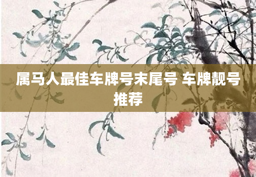 属马人最佳车牌号末尾号 车牌靓号推荐