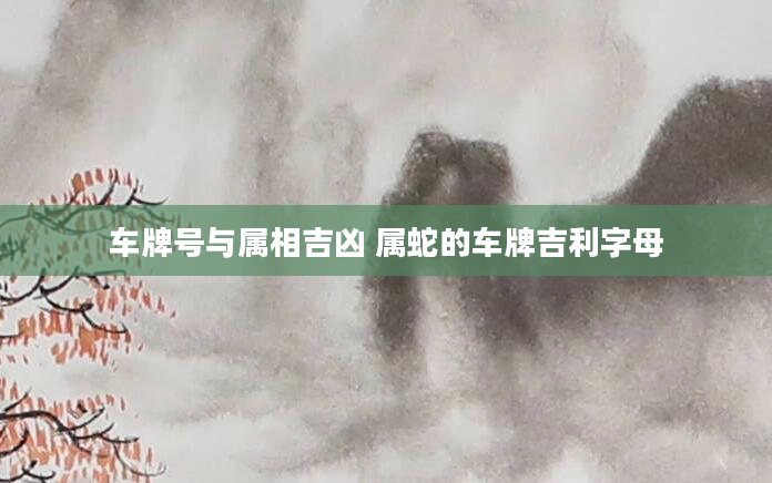 车牌号与属相吉凶 属蛇的车牌吉利字母