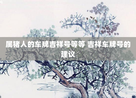 属猪人的车牌吉祥号等等 吉祥车牌号的建议