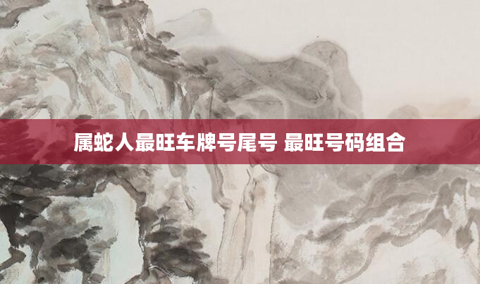 属蛇人最旺车牌号尾号 最旺号码组合