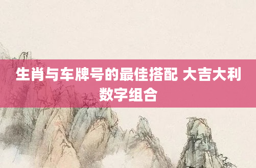 生肖与车牌号的最佳搭配 大吉大利数字组合