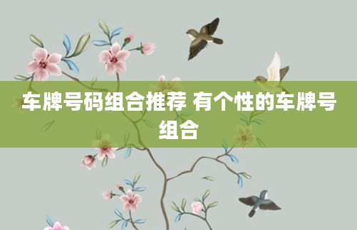 车牌号码组合推荐 有个性的车牌号组合