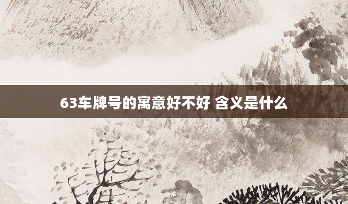 63车牌号的寓意好不好 含义是什么