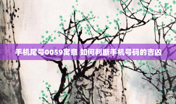 手机尾号0059寓意 如何判断手机号码的吉凶