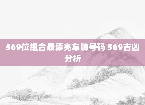 569位组合最漂亮车牌号码 569吉凶分析