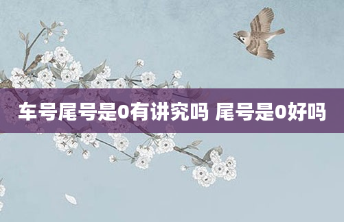 车号尾号是0有讲究吗 尾号是0好吗