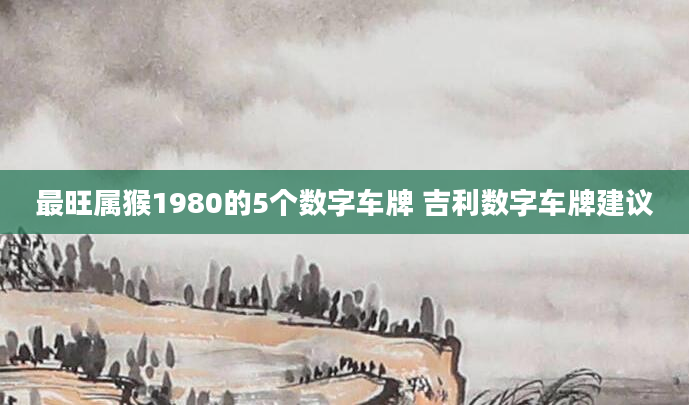 最旺属猴1980的5个数字车牌 吉利数字车牌建议