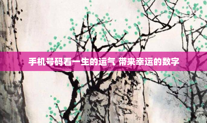 手机号码看一生的运气 带来幸运的数字