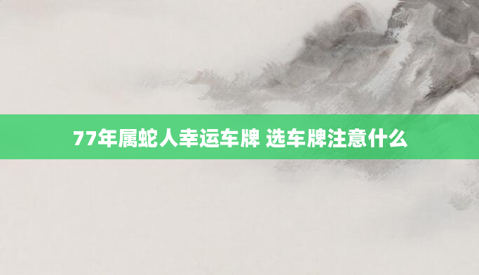 77年属蛇人幸运车牌 选车牌注意什么