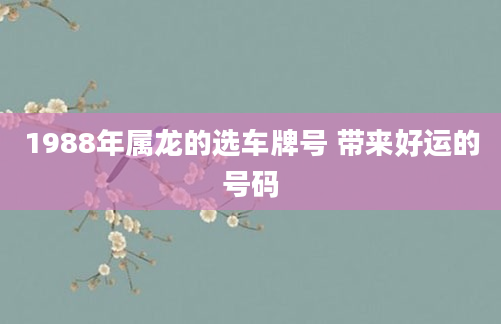1988年属龙的选车牌号 带来好运的号码