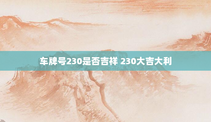 车牌号230是否吉祥 230大吉大利