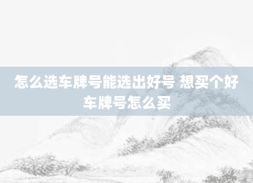 怎么选车牌号能选出好号 想买个好车牌号怎么买