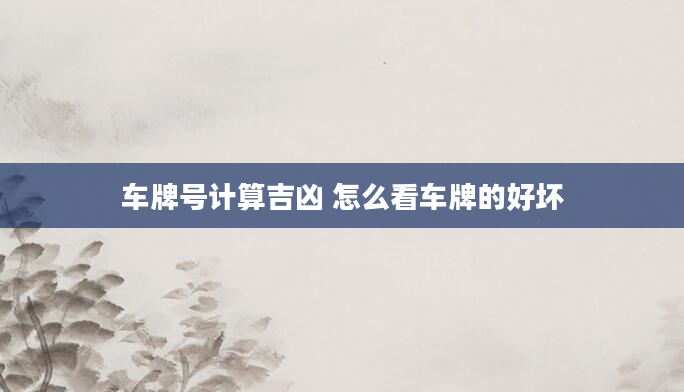 车牌号计算吉凶 怎么看车牌的好坏