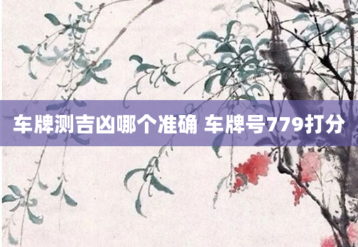 车牌测吉凶哪个准确 车牌号779打分