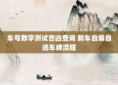 车号数字测试吉凶查询 新车自编自选车牌流程