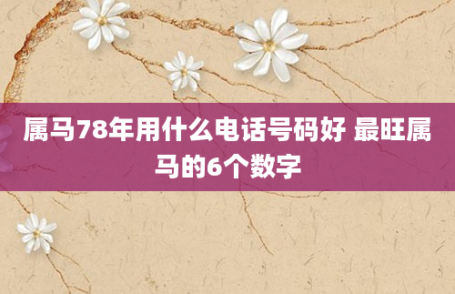 属马78年用什么电话号码好 最旺属马的6个数字
