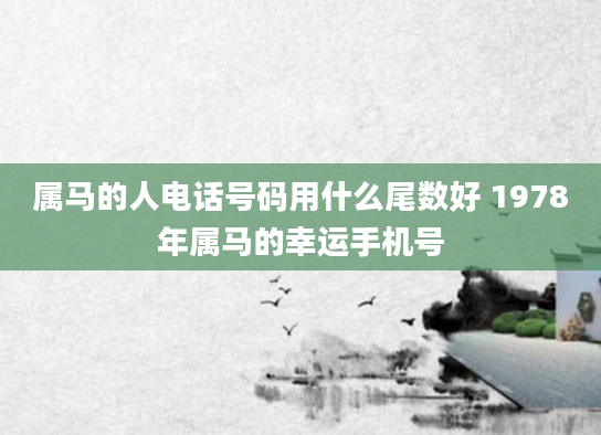 属马的人电话号码用什么尾数好 1978年属马的幸运手机号