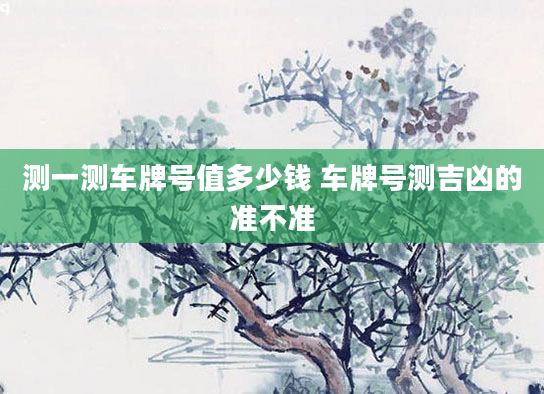 测一测车牌号值多少钱 车牌号测吉凶的准不准