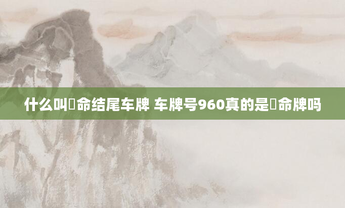 什么叫絶命结尾车牌 车牌号960真的是絶命牌吗