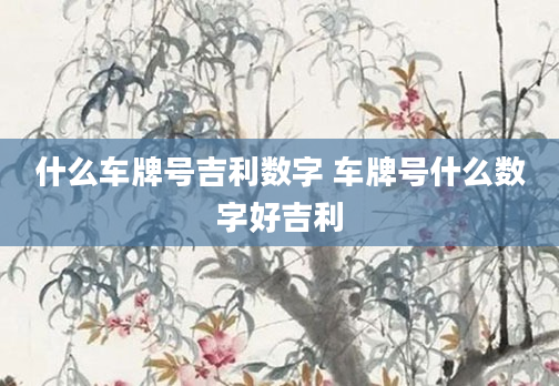 什么车牌号吉利数字 车牌号什么数字好吉利